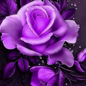 Meet your Posher, Joanne